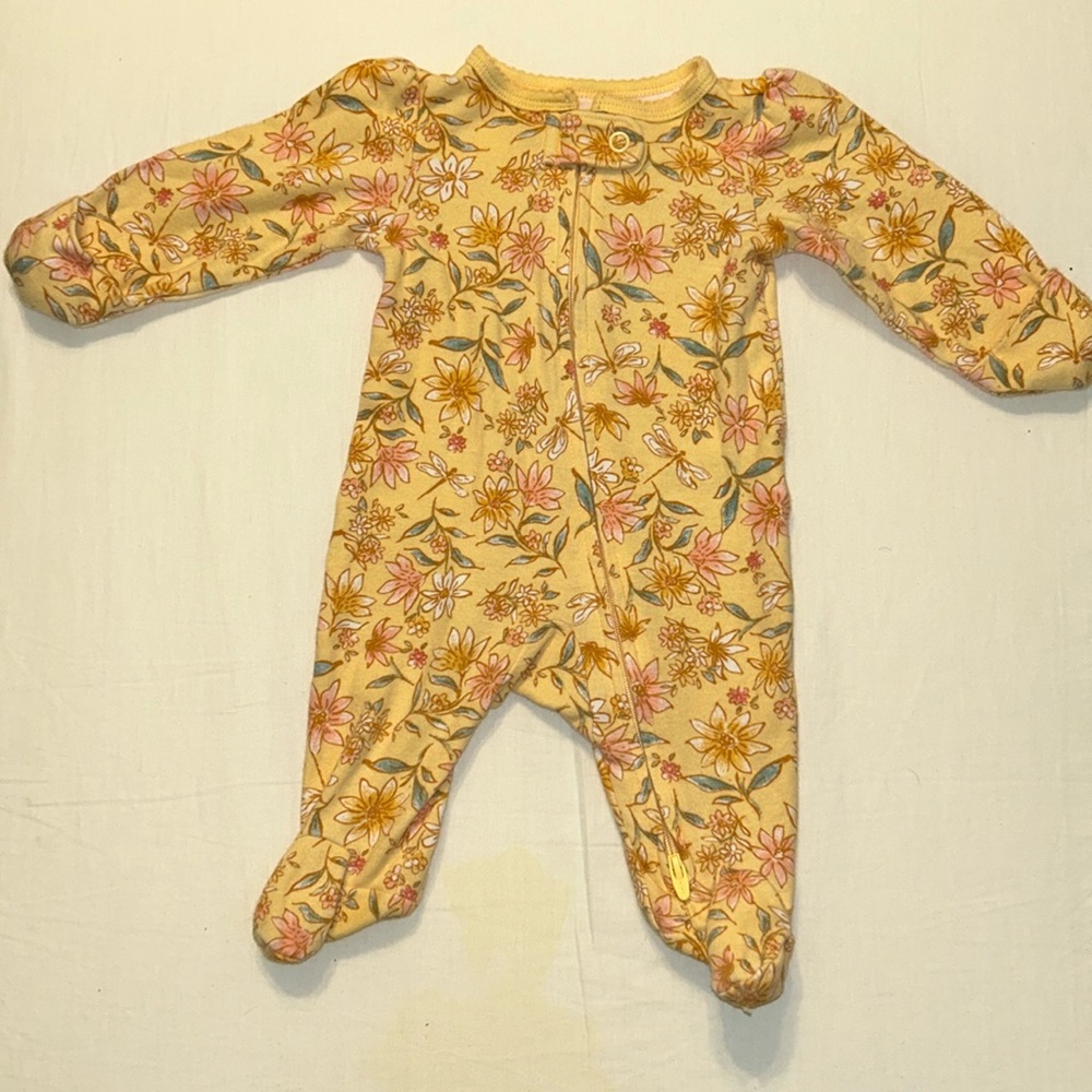 Set of 2 Newborn Baby Girl Outfits (Carter’s and Gerber)